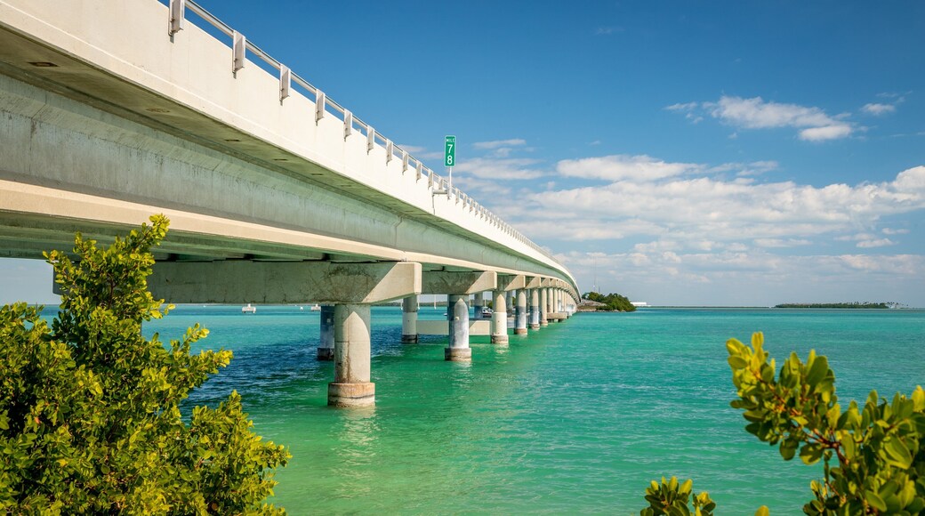 Seven Mile Bridge showing general coastal views and a bridge