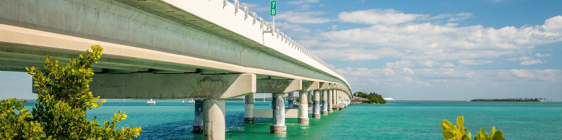 Seven Mile Bridge showing general coastal views and a bridge