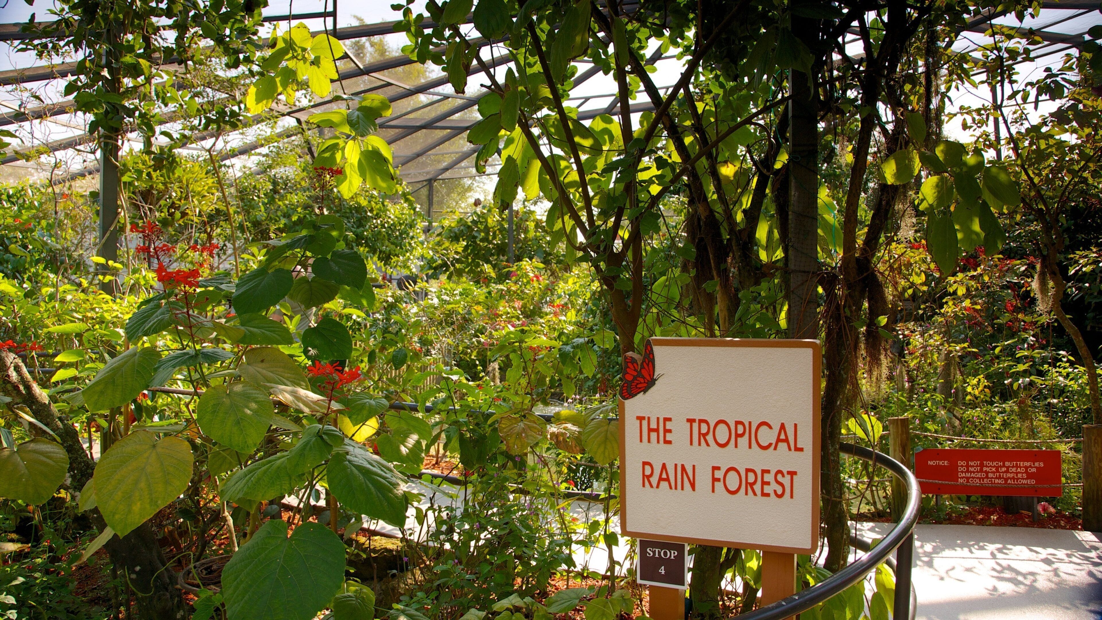 A sign reading "The Tropical Rain Forest" surrounded by lush greenery and plants.
