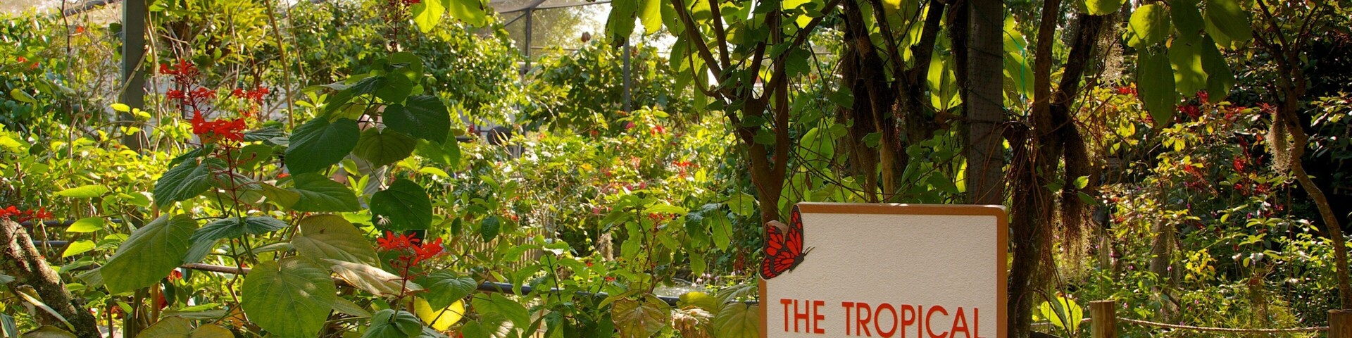 Un letrero que dice 'The Tropical Rain Forest' rodeado de exuberante vegetación y plantas.
