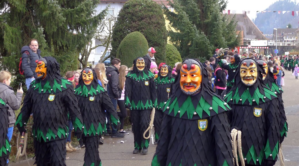 Bergteufel Oberprechtal beim Jubiläumsumzug 50 Jahre Narrenzunft Bleibach "Der Silberklopfer" e.V. am 25.01.2015