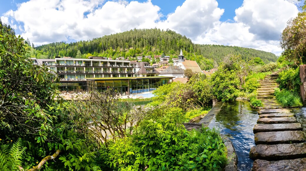 The Mineral Therme and water cascades in Bad Teinach. Black Forest, Baden-Wurttemberg, Germany, Europe