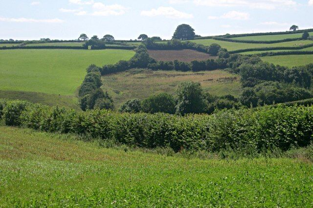 Valley south of the old Callington Road