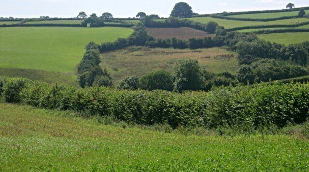 Valley south of the old Callington Road