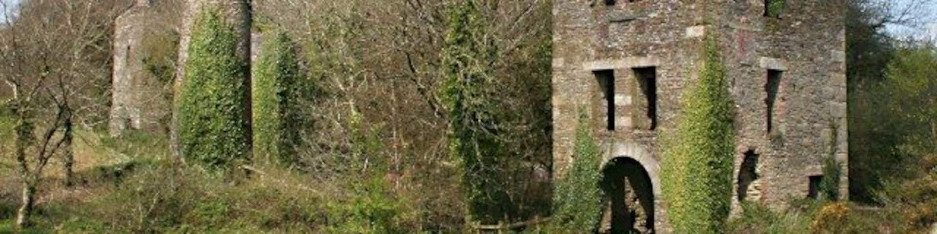 Holmbush Mine This is the remains of the buildings surrounding part of Holmbush Mine. Conservation work was carried out in 2007 and it is reasonably safe to walk around these buildings provided you are careful. There are the remains of three engine houses along with the boiler house chimney which is still just about standing. I have no specific information about the engine houses but the one in the foreground has a very wide arched entrance and if you walk inside you can still see the bolt holes which were used to anchor the engine to the ground. This building must have housed very large engine, possibly 100 inch cylinder. Such large engine were almost always used to pump water from the mine workings.