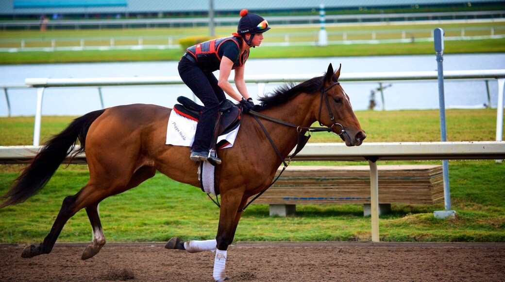 Golfstrømparken som inkluderer landdyr i tillegg til en kvinne