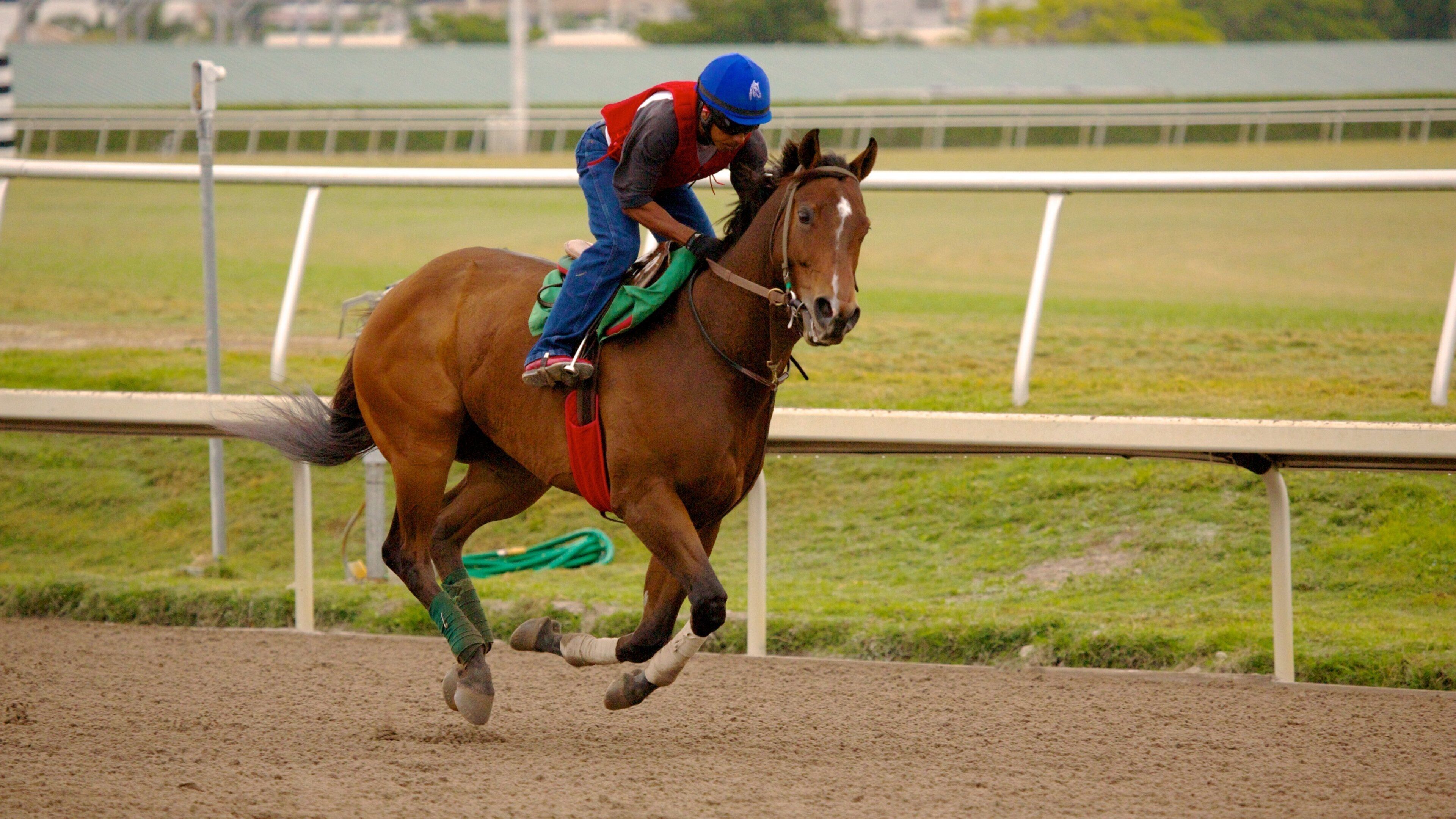 Exciting horse racing action at Gulfstream Park Racing and Casino in Hallandale Beach, Florida during a sunny afternoon