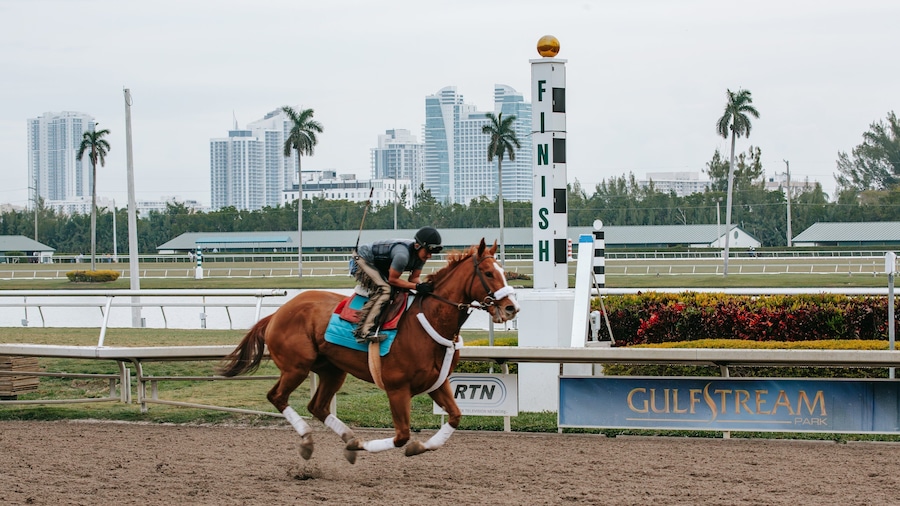 Gulfstream Park Racing and Casino which includes horseriding as well as an individual male