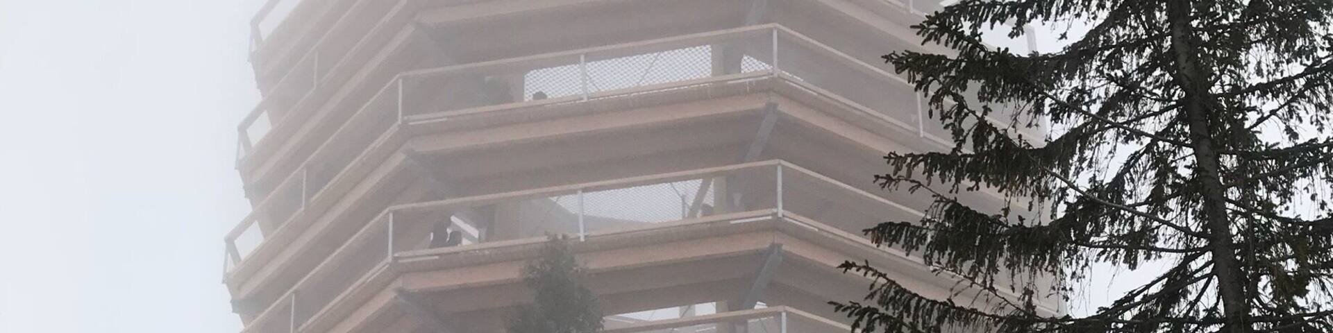 The education path in Bachledova Dolina leads through treetops.24 metres above the ground – with an outlook point and longest dry toboggan in Slovakia (67metres). Take a skilift or longer walk to get there :) #LifeAtExpedia #Slovakia #LittleBigCountry