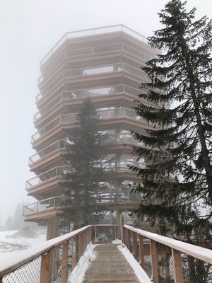 The education path in Bachledova Dolina leads through treetops.24 metres above the ground – with an outlook point and longest dry toboggan in Slovakia (67metres). Take a skilift or longer walk to get there :) #LifeAtExpedia #Slovakia #LittleBigCountry