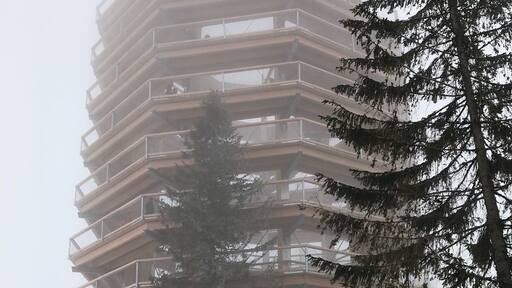 The education path in Bachledova Dolina leads through treetops.24 metres above the ground – with an outlook point and longest dry toboggan in Slovakia (67metres). Take a skilift or longer walk to get there :) #LifeAtExpedia #Slovakia #LittleBigCountry