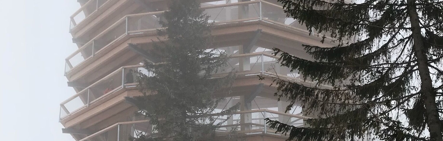 The education path in Bachledova Dolina leads through treetops.24 metres above the ground â with an outlook point and longest dry toboggan in Slovakia (67metres). Take a skilift or longer walk to get there :) #LifeAtExpedia #Slovakia #LittleBigCountry