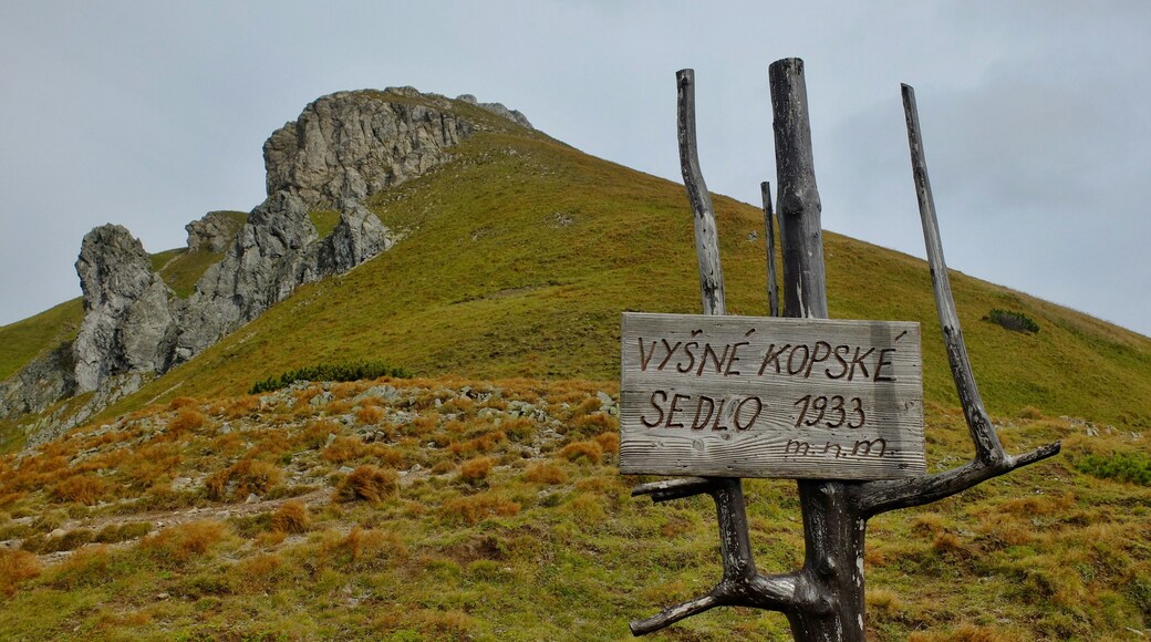 Vyšné Kopské sedlo