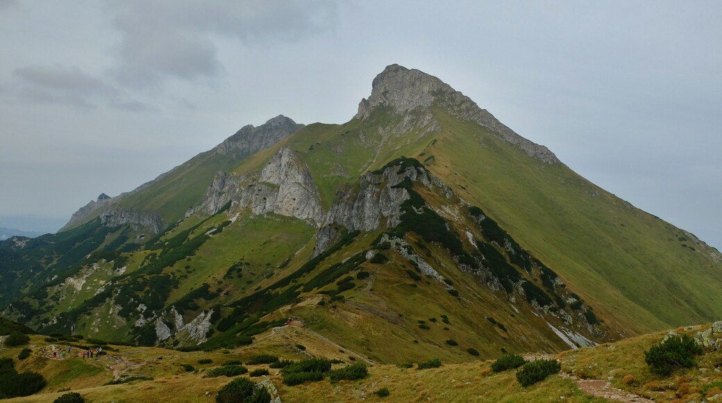 Široké sedlo, Ždiarska Vidla, Havran