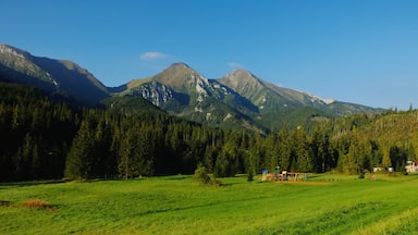 A mountainous landscape with a grassy field and a playground.