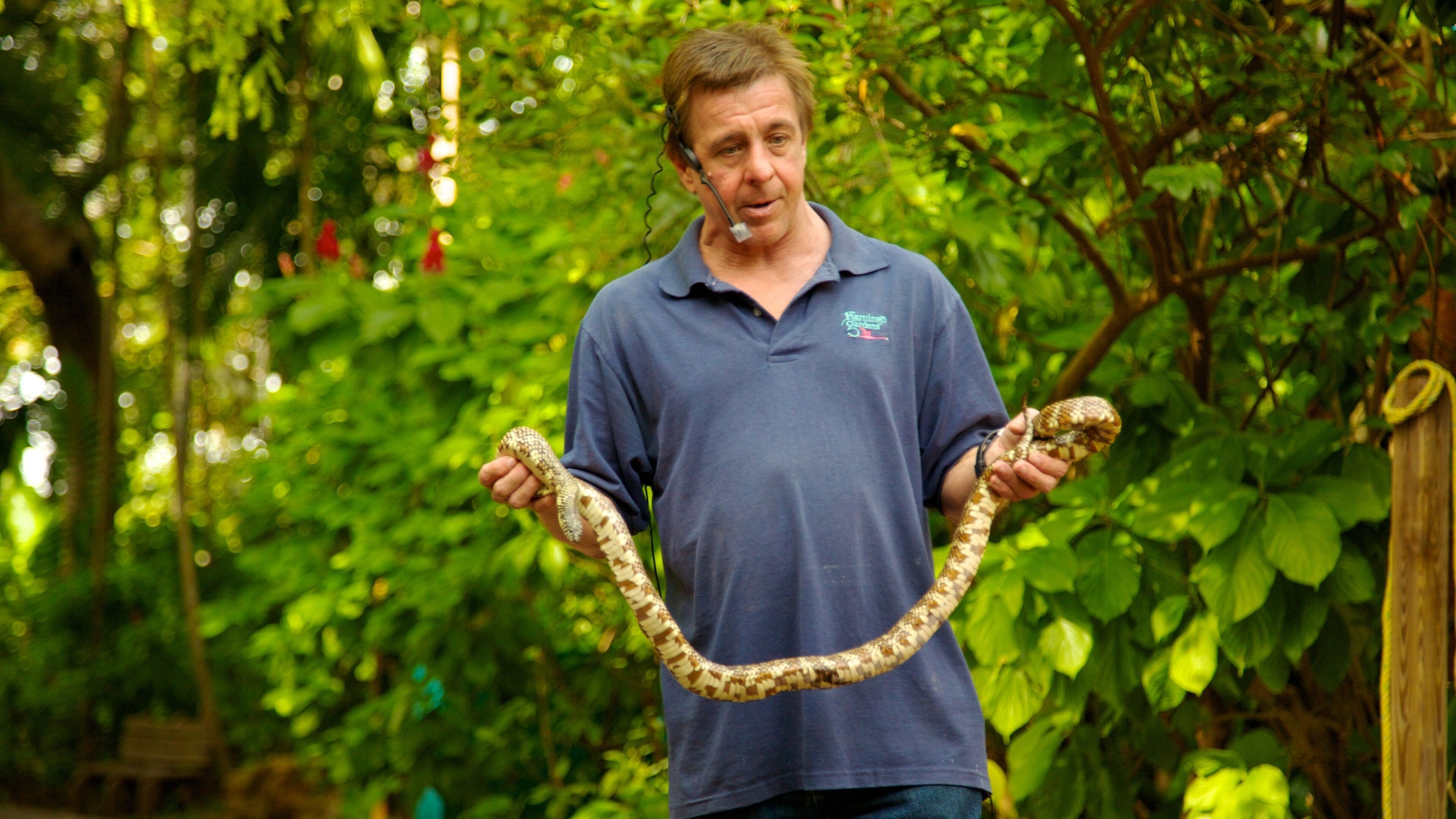 弗萊明哥花園 呈现出 公園 和 危險動物 以及 一名男性