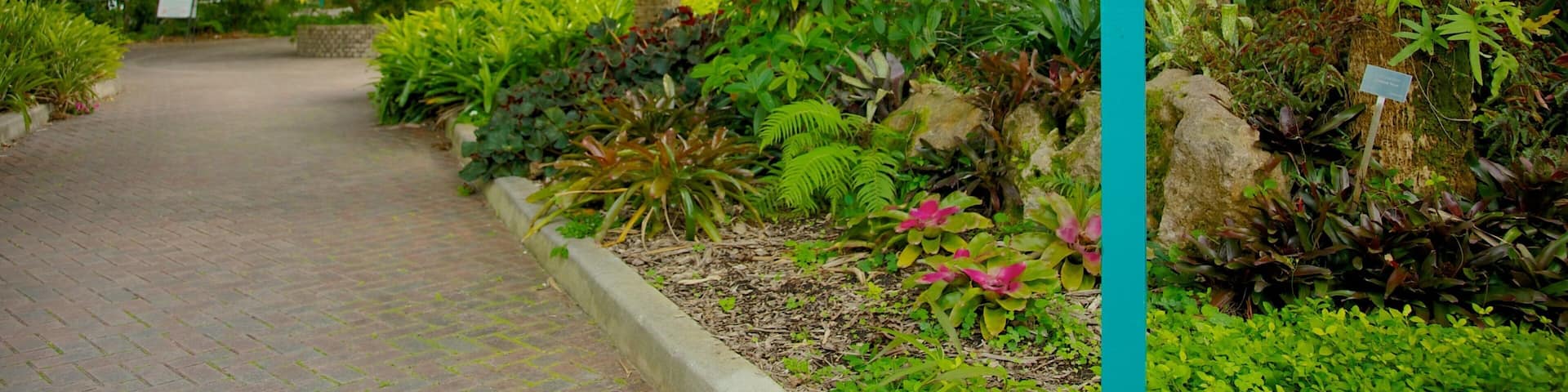 Flamingo Gardens johon kuuluu puutarha, kyltit ja maisemat
