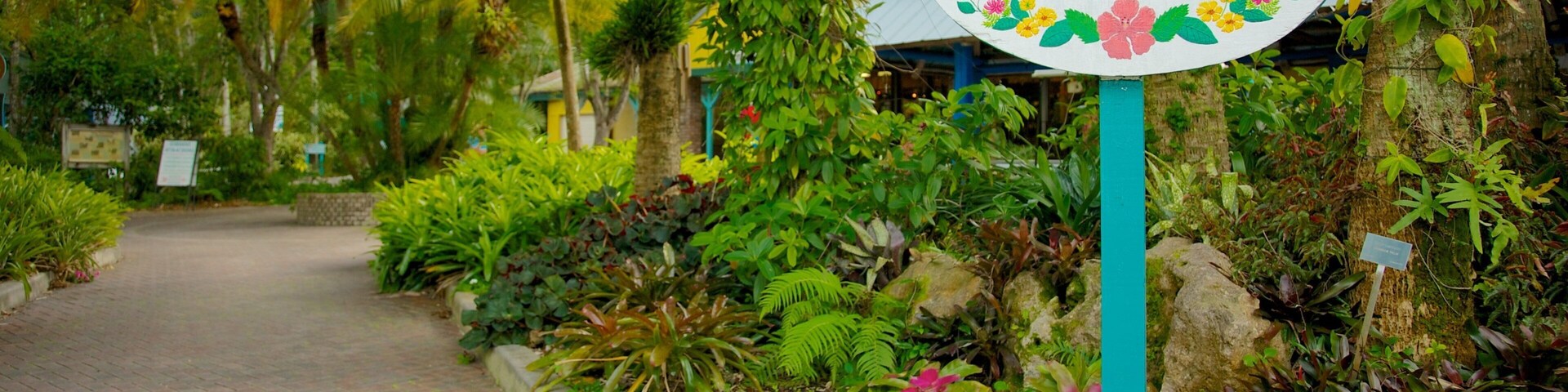 Explore the beauty of Flamingo Gardens in Davie Florida, a lush paradise filled with exotic plants and wildlife