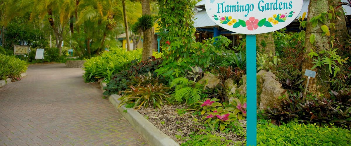 Flamingo Gardens showing signage, a garden and landscape views