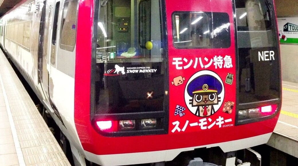 モンハン特急スノーモンキー