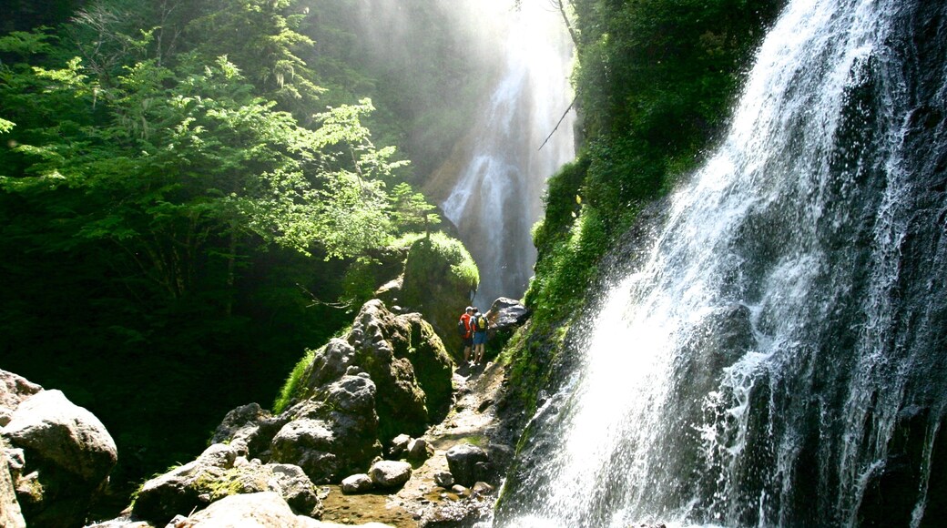 Nagano which includes a cascade