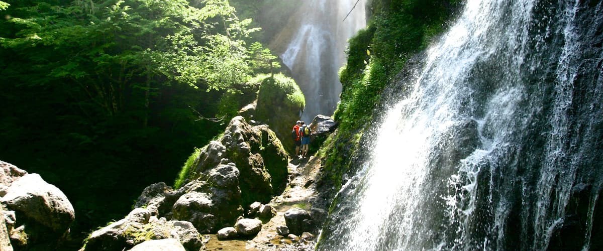 A waterfall cascading down a rocky cliff surrounded by lush green forest.