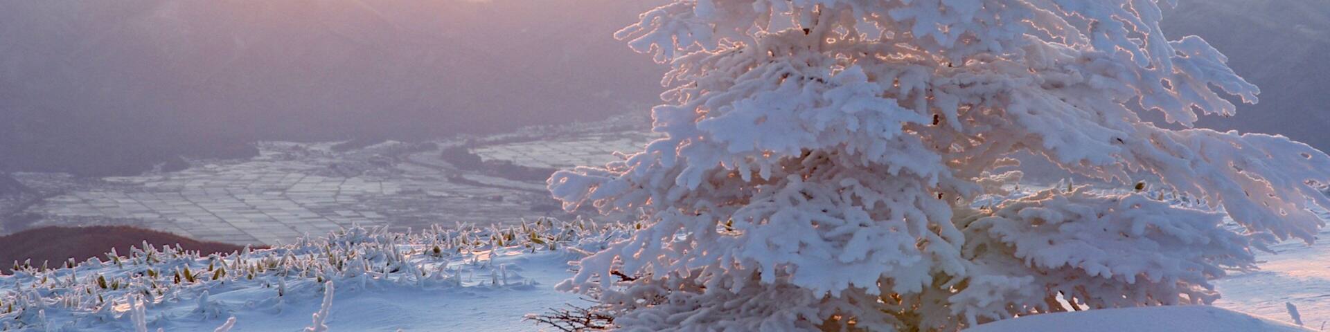 Nagano featuring snow and a sunset