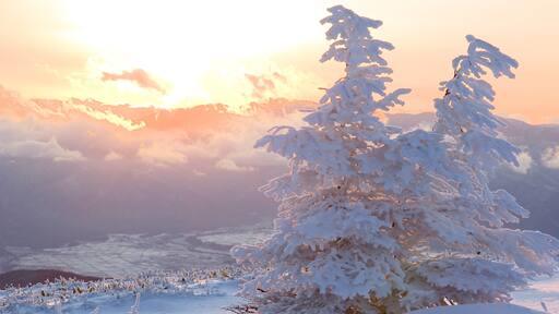 長野 设有 夕陽 和 雪