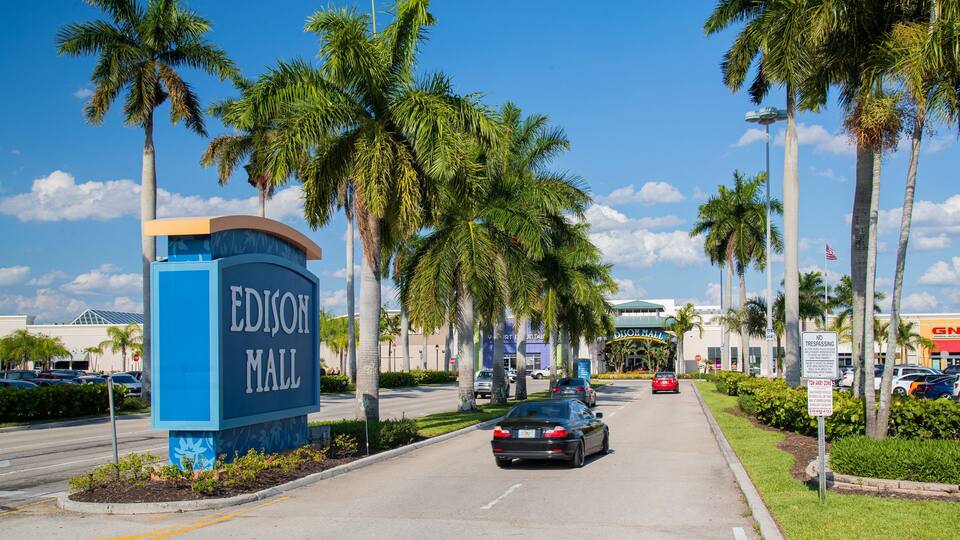 A street view of Edison Mall with palm trees lining the road.