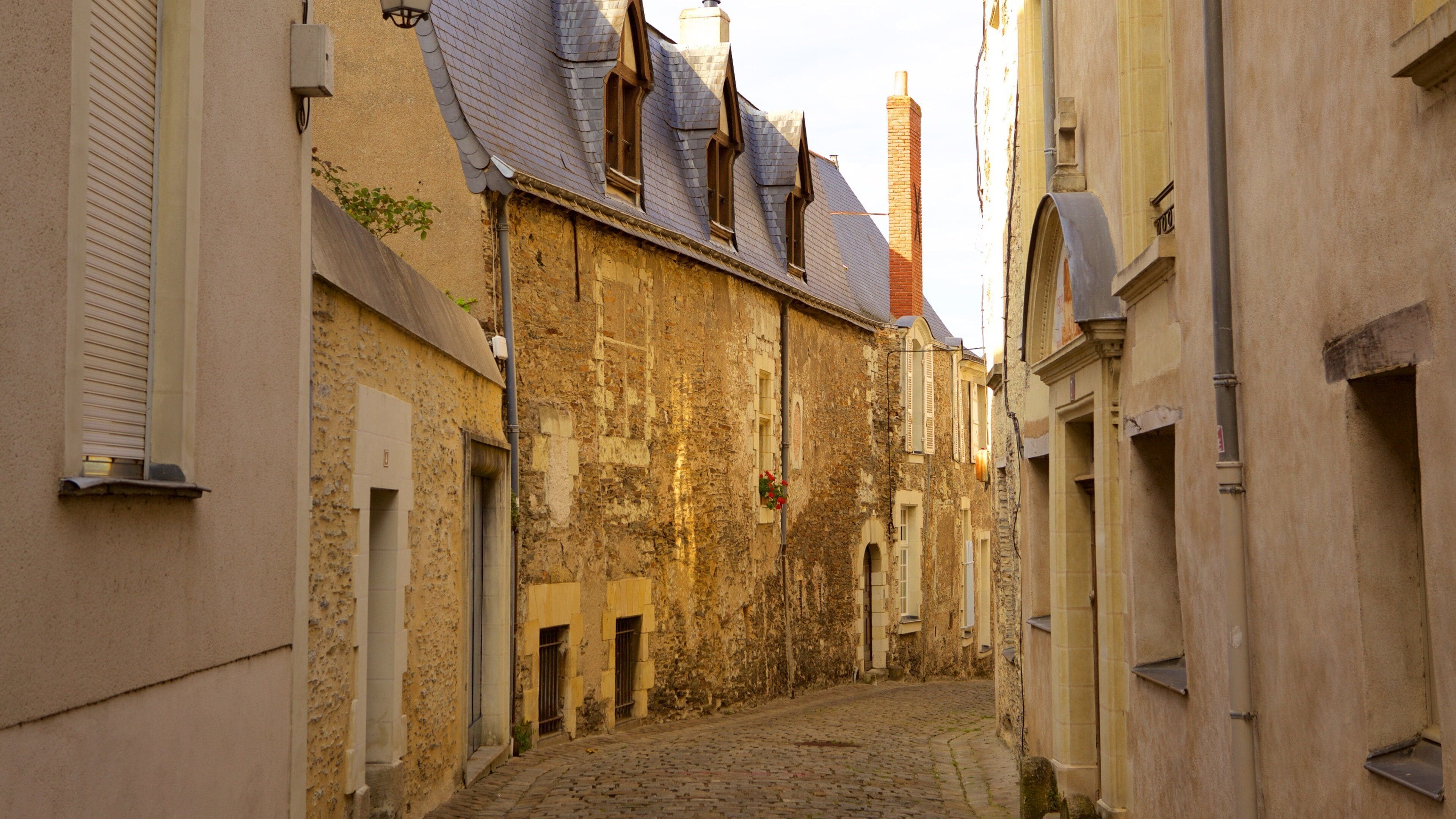 Angers which includes street scenes