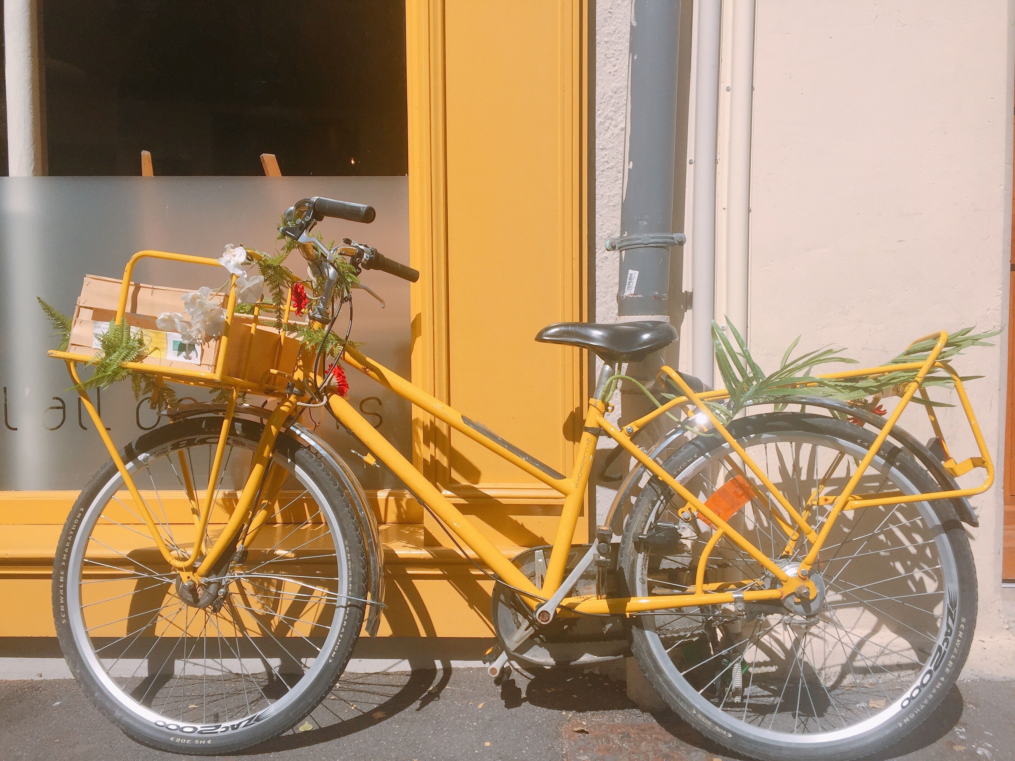 Yellow bike at the door of a grocery store by the University of Angers.

Angers is a beautiful historical city situated the Valley of Loire in France. The city enjoys a good reputation of its castle built in the middle ages and its botanic gardens. Although she’s not very big, the whole city itself is like a beautiful garden thanks to its botanical decorations everywhere in harmony with the urban scene. It would be really nice to have a round trip in the city on a sunny day ☀️


#LifeAtExpedia 
#Angers
#Bikes
#Yellow #Sunny #Afternoon