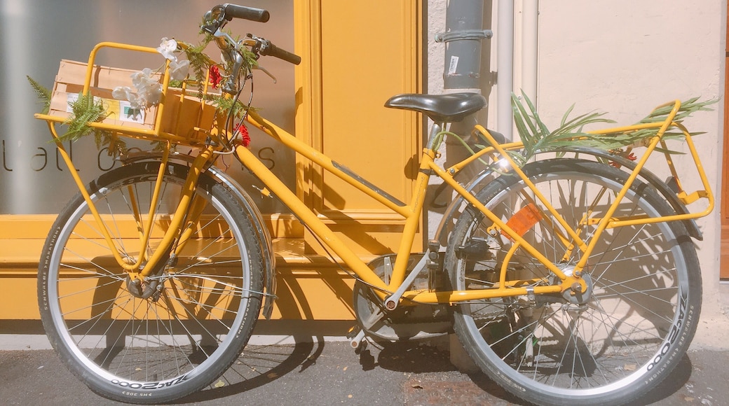 Yellow bike at the door of a grocery store by the University of Angers.
Angers is a beautiful historical city situated the Valley of Loire in France. The city enjoys a good reputation of its castle built in the middle ages and its botanic gardens. Although sheâs not very big, the whole city itself is like a beautiful garden thanks to its botanical decorations everywhere in harmony with the urban scene. It would be really nice to have a round trip in the city on a sunny day âïž
#LifeAtExpedia
#Angers
#Bikes
#Yellow #Sunny #Afternoon
