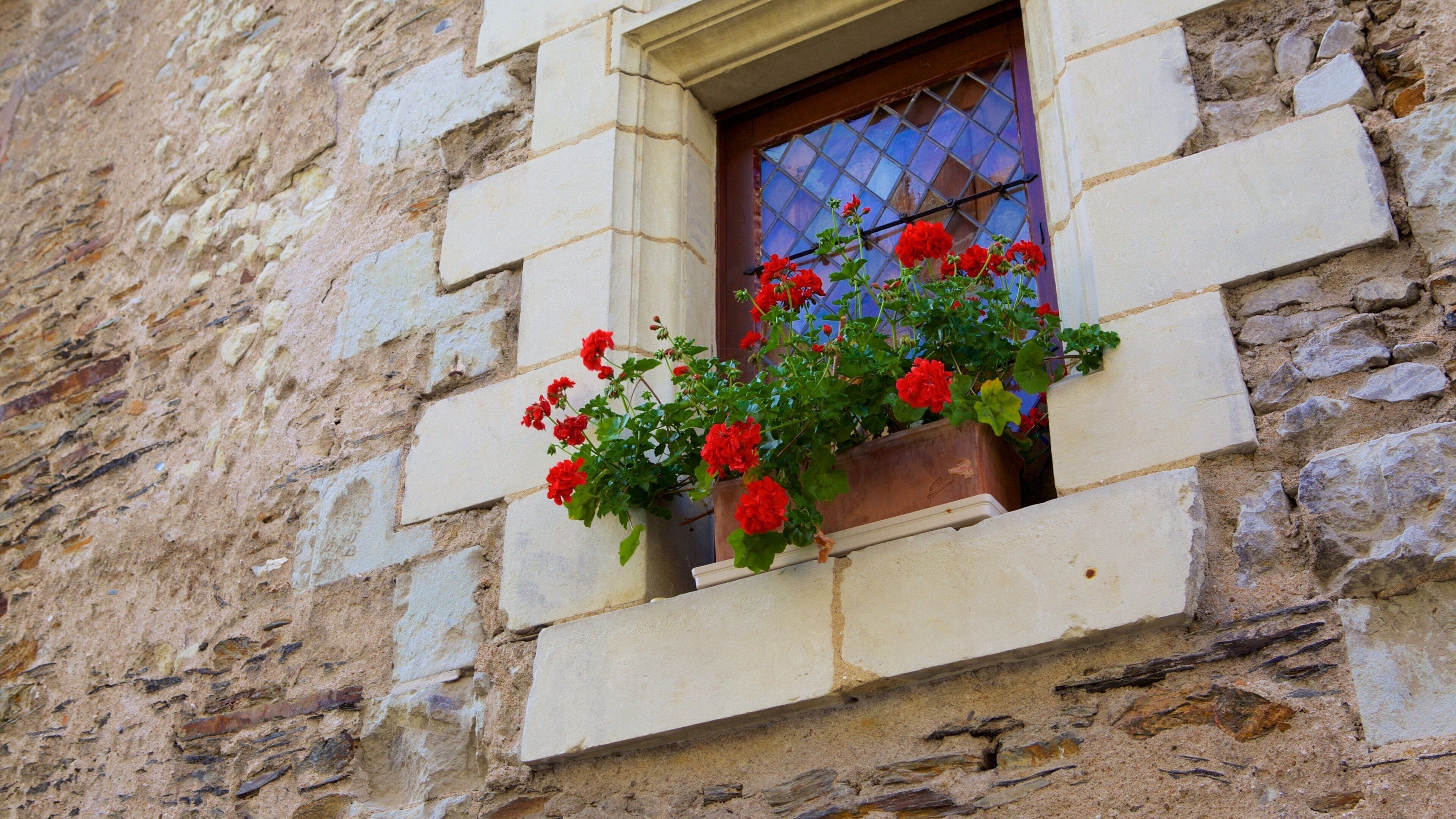 Angers mit einem Blumen