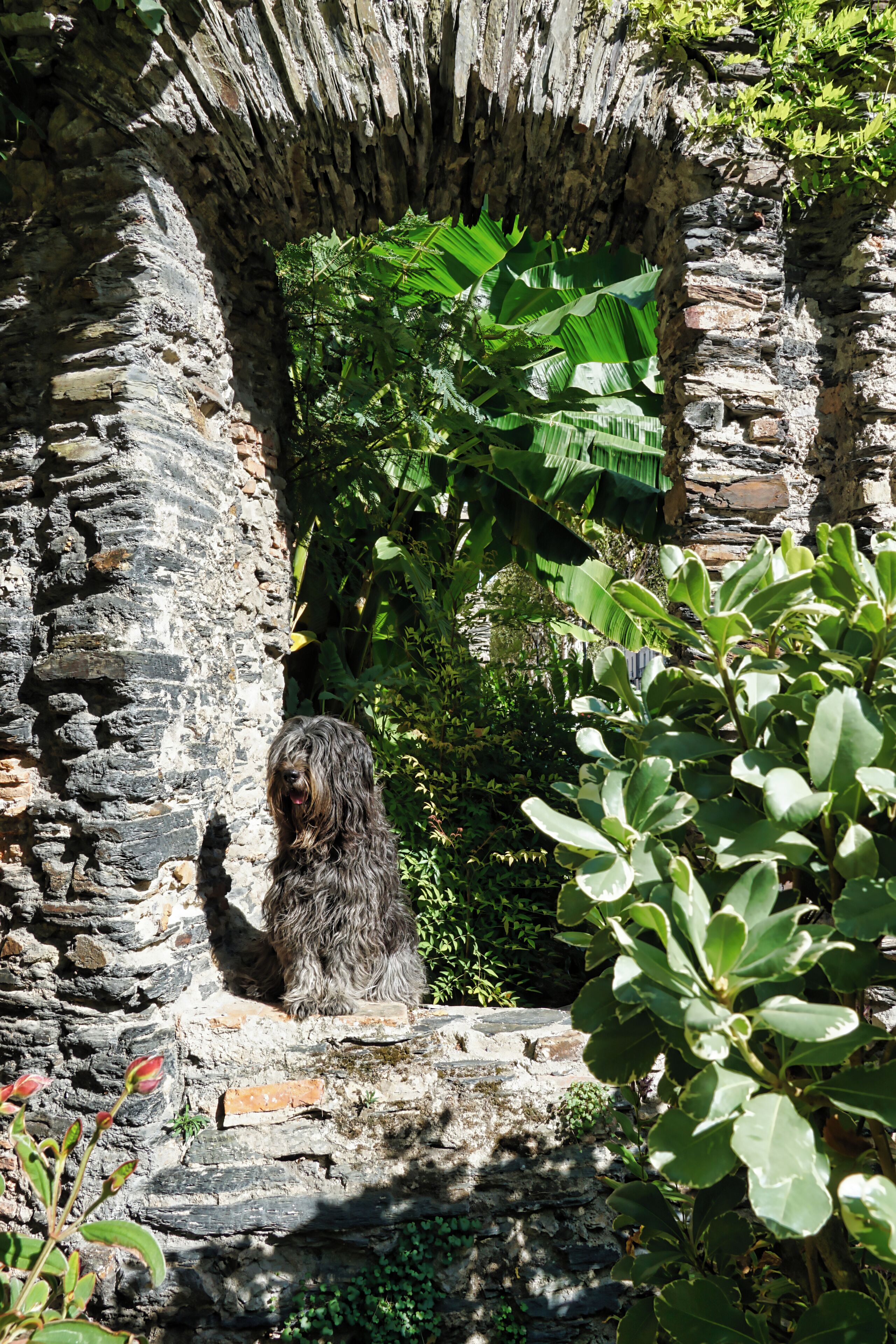 A nice little spot right behind the tourist information in Angers. 
#Golden
