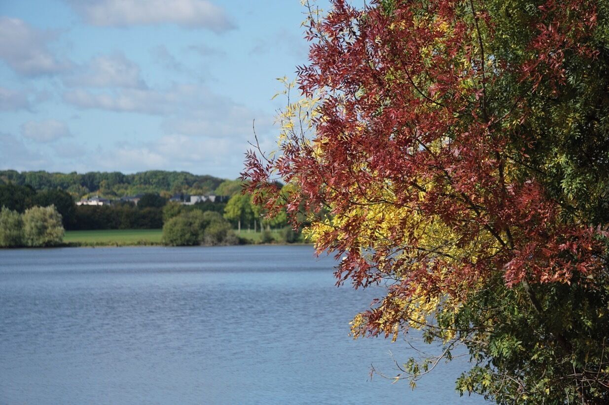 Lovely fall colors along the Lac de Maine in Angers, Loire Valley. Worth going there! 