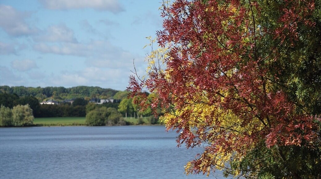 Lovely fall colors along the Lac de Maine in Angers, Loire Valley. Worth going there!