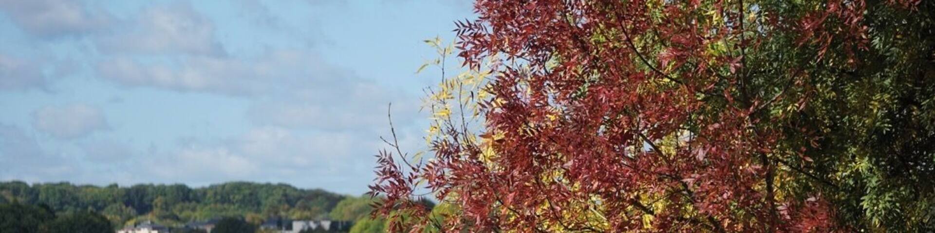 Lovely fall colors along the Lac de Maine in Angers, Loire Valley. Worth going there!