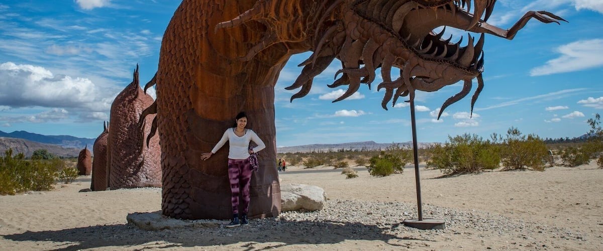 Only in California can a State Park be overrun with massive metal sculptures in the name of art. I am not even beginning to complain though as the Galleta Meadows Sculptures in Anza-Borrego are some of my favorite things to take new adventurers to. There are over 130 and as you are driving around they just seem to pop up out of nowhere, it is so awesome. This one is a serpent that runs from one side of the street to the other for several hundred meters. . The size of the person (5’ 3” tall) standing in front, gives a scale and perspective to the size of the head of the serpent!