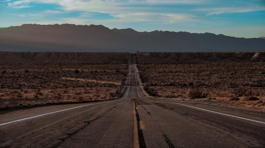 Taken in the desert of California, somewhere near Anza Borrego. There was some great side lighting provided by the sun from the left of the image. The ideal moment for this image would have probably been a few minutes later when the sun had sunk a little lower but I was pressed on time and could not wait. Still this image turned out to be close to what I imagined in my head. Hope you like it.
Best time to visit Anza Borrego is around February-March when California receives it's annual rainfall. The desert here is alive with flowers at the time and the landscape is totally different.
#Desert #roadtrip