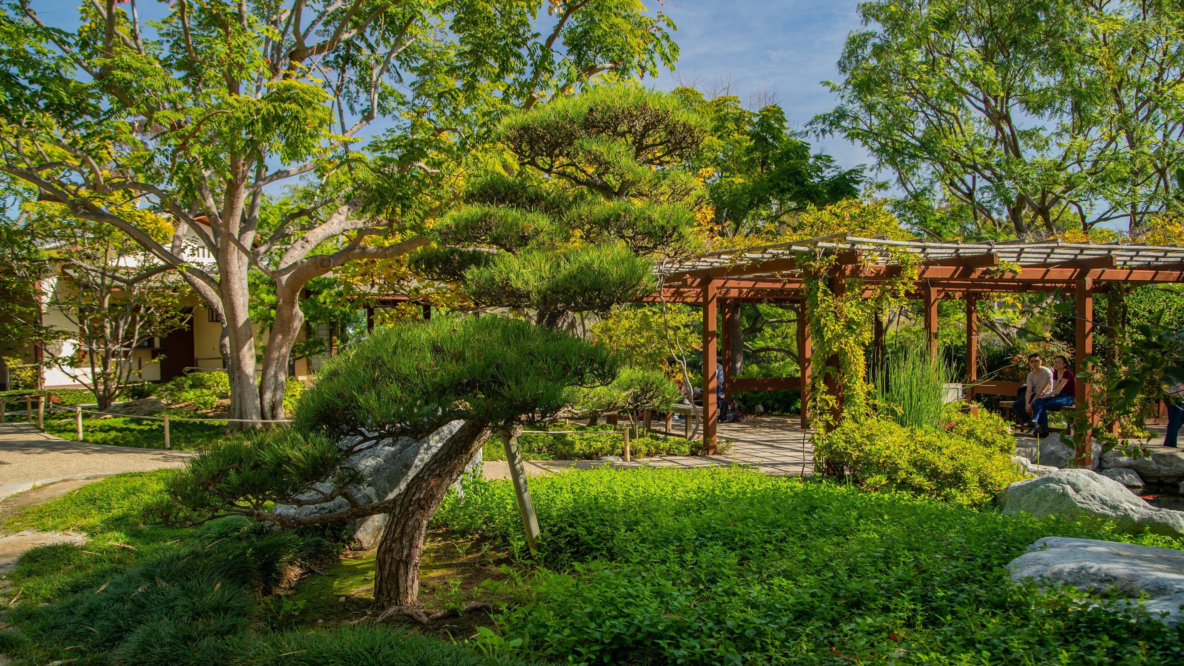 Japanese Friendship Garden which includes a park