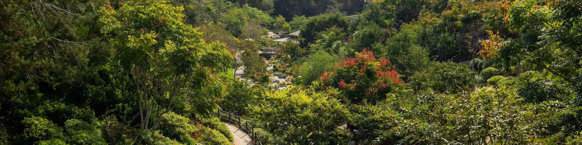 Japanese Friendship Garden which includes a garden and landscape views