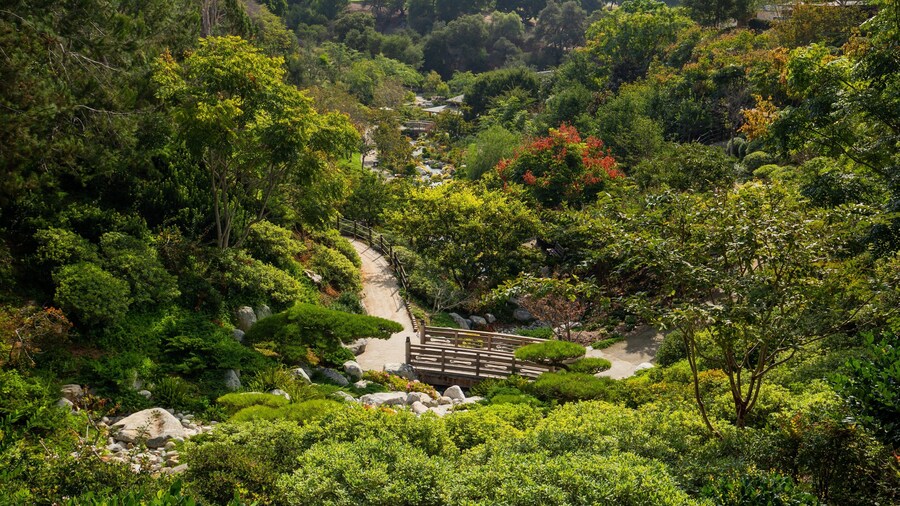 Japanese Friendship Garden which includes a garden and landscape views