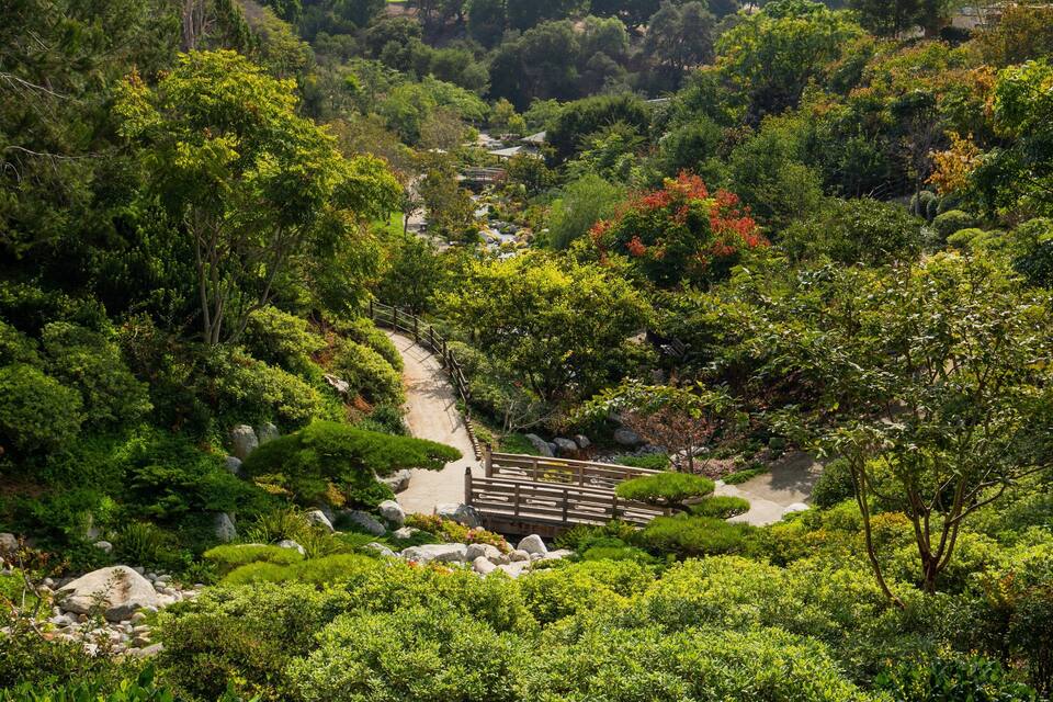 Um jardim exuberante com uma ponte de pedra e um caminho sinuoso.