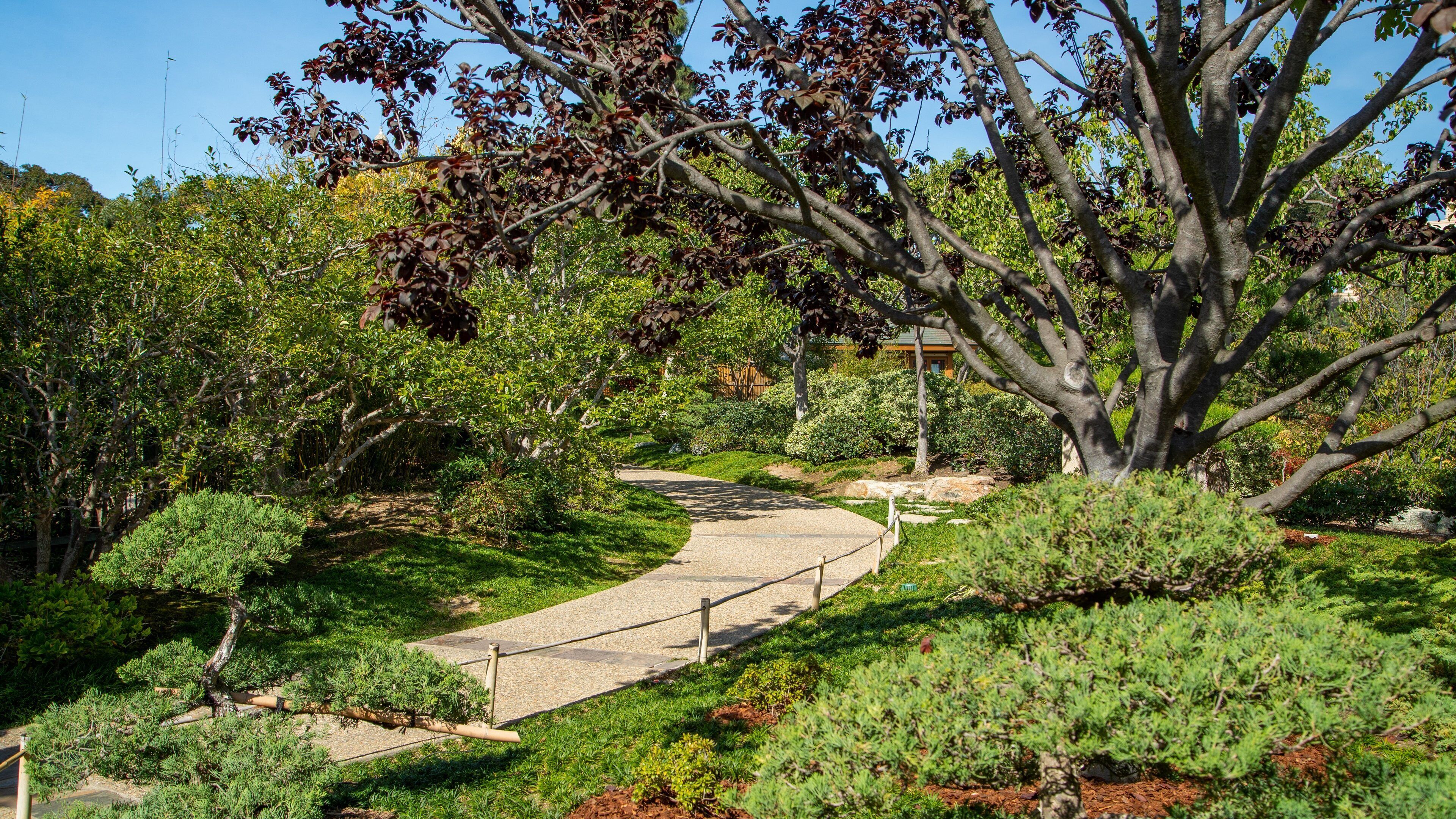 Japanese Friendship Garden which includes a park