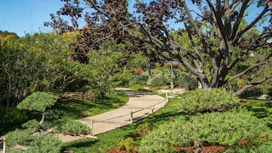 Japanese Friendship Garden which includes a park