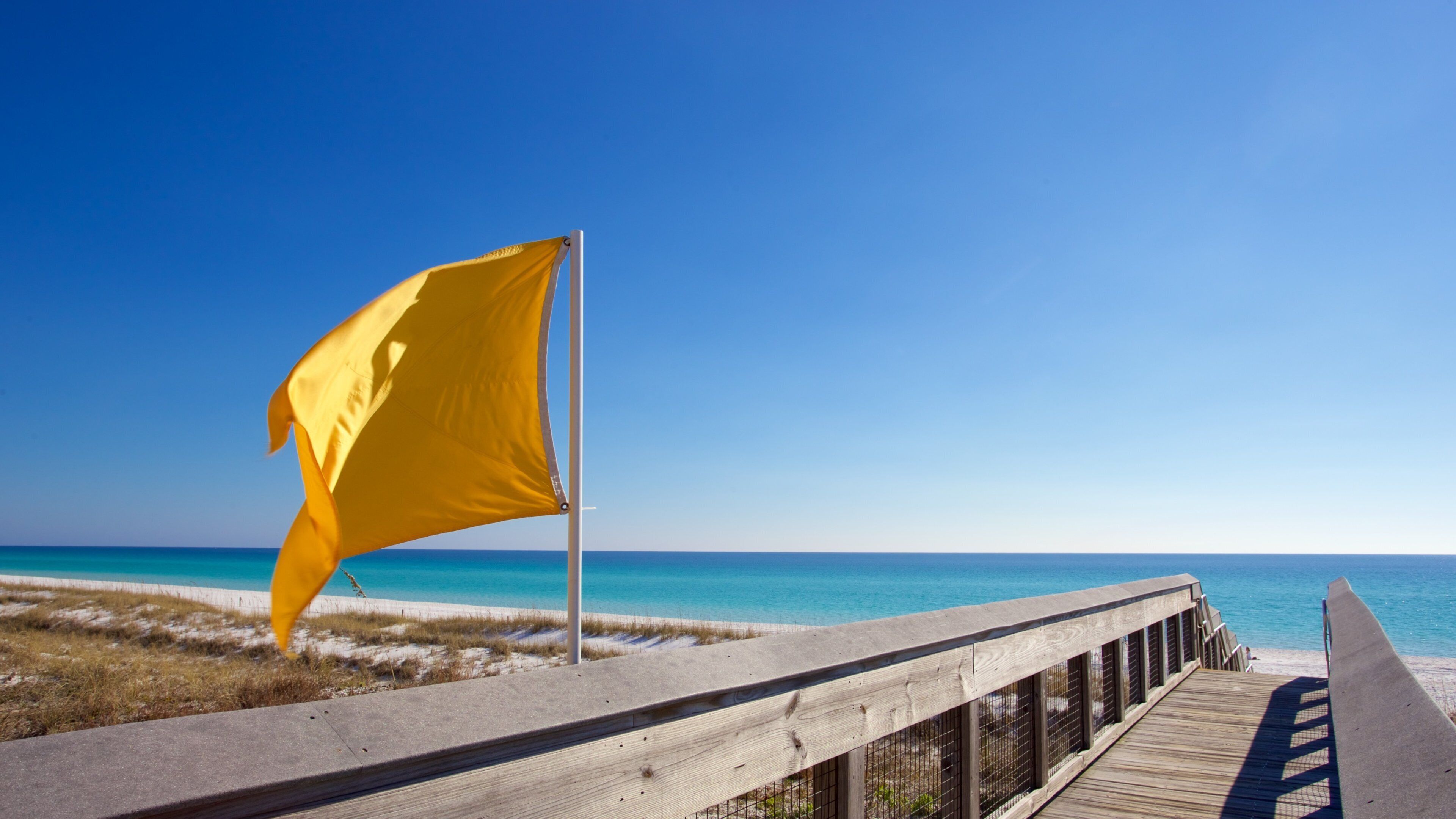 Henderson Beach State Park featuring a sandy beach