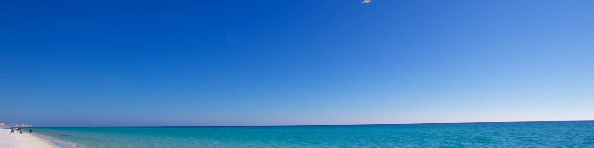 Henderson Beach State Park showing a beach