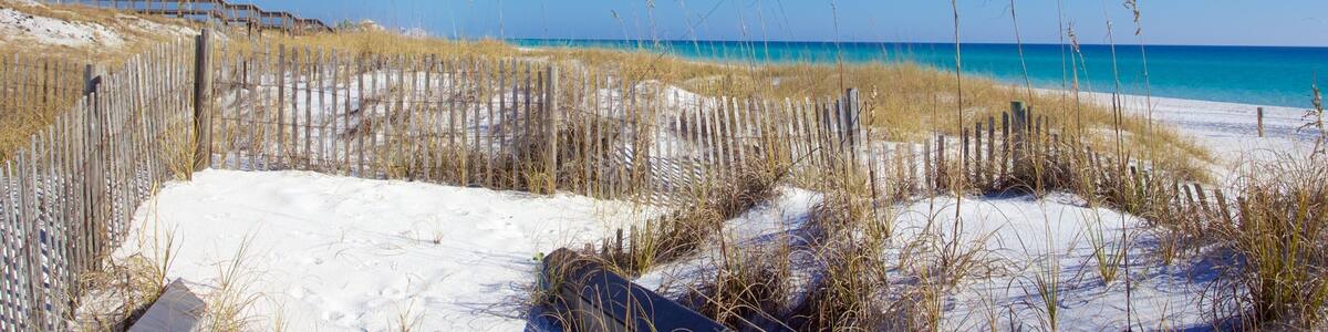 Henderson Beach State Park showing tranquil scenes and a sandy beach