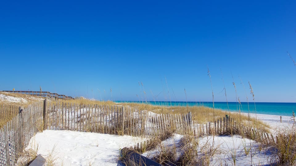 Henderson Beach State Park which includes tranquil scenes and a sandy beach