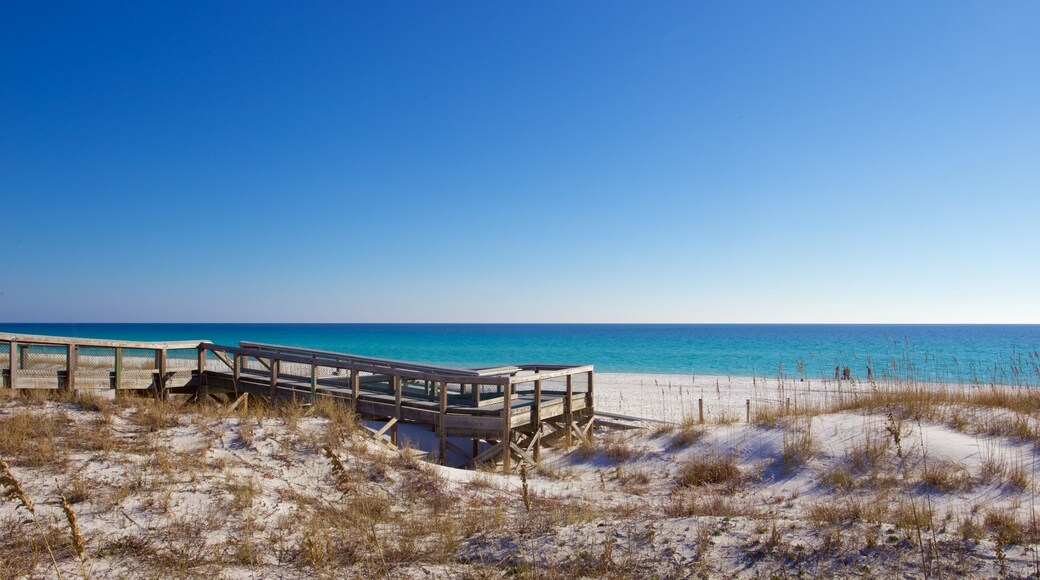 Henderson Beach State Park featuring a sandy beach and tranquil scenes
